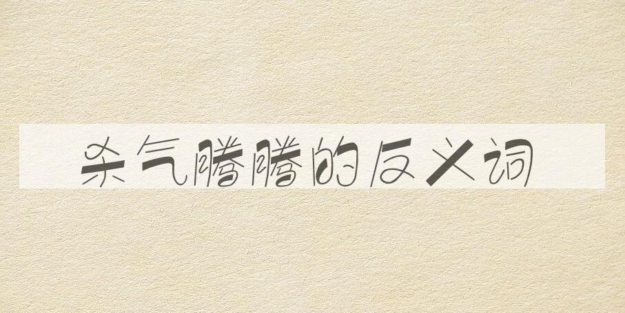 用杀气腾腾造句