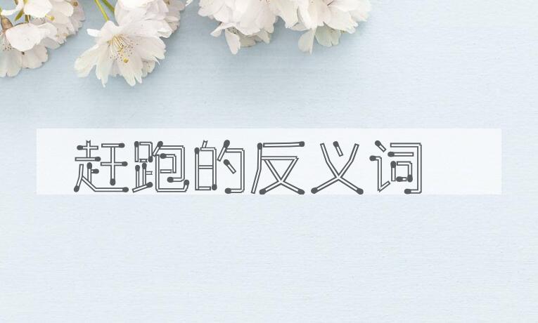 用赶跑造句