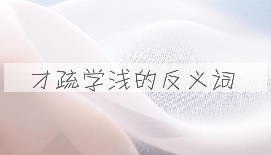 用才疏学浅造句