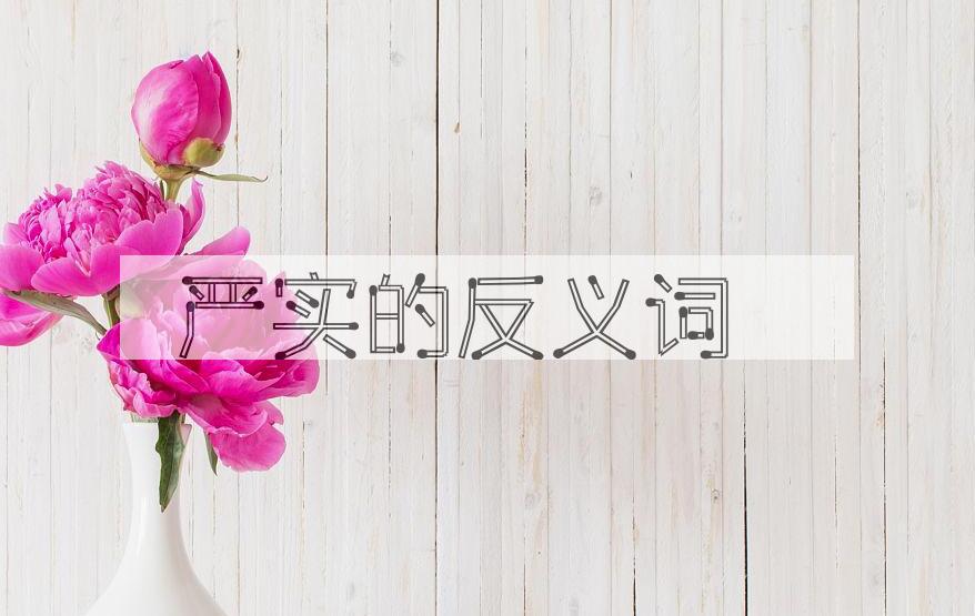 用严实造句