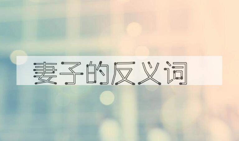 用妻子造句
