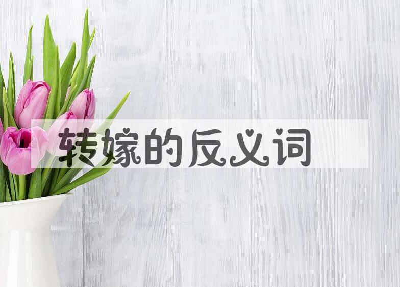 用转嫁造句