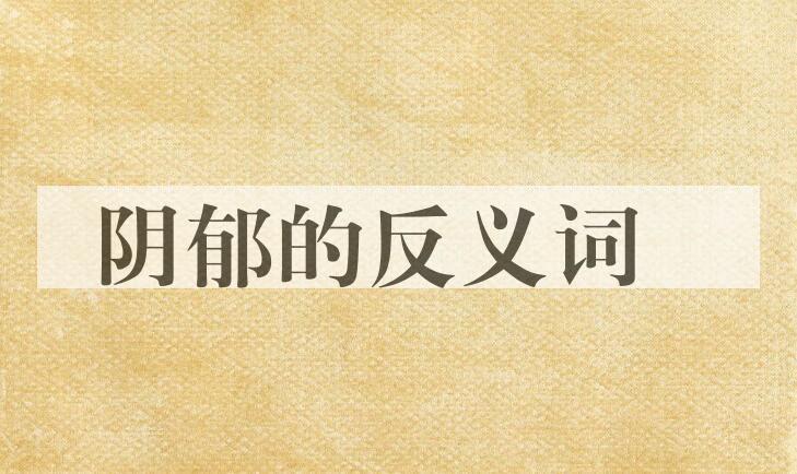 用阴郁造句