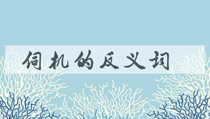 用伺机造句
