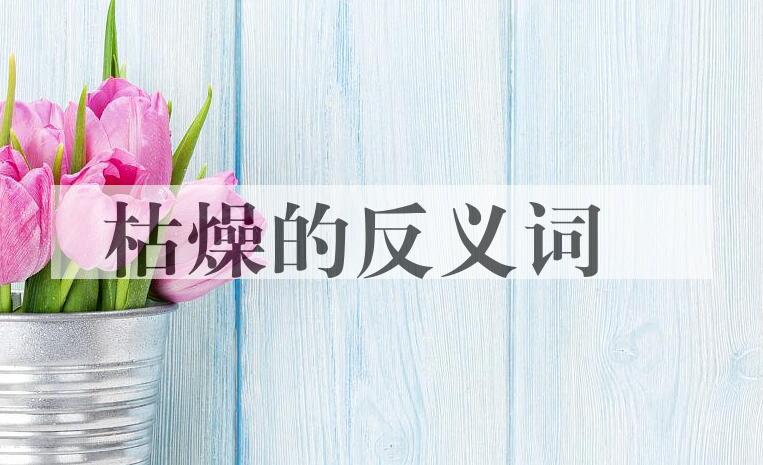 用枯燥造句