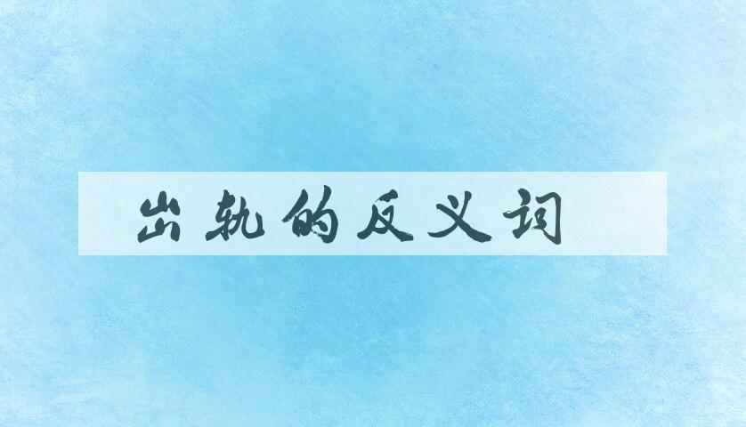 用出轨造句