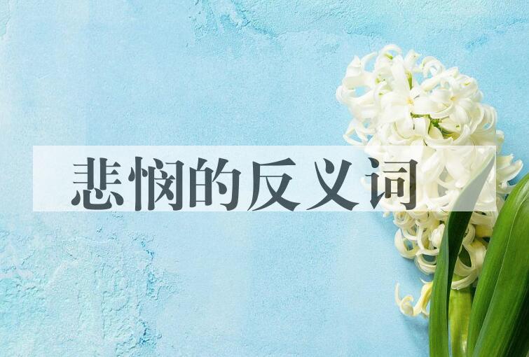 用悲悯造句