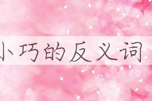 用小巧造句