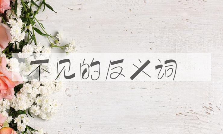 用不见造句