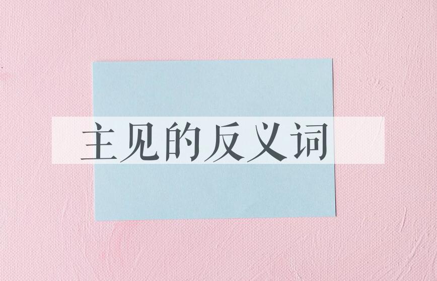 用主见造句
