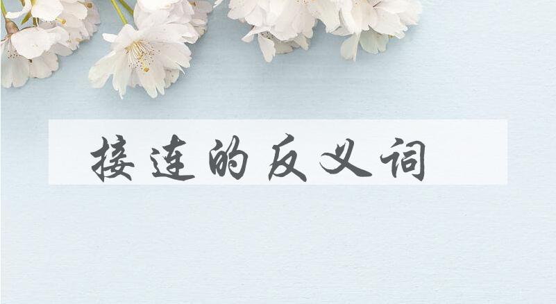 用接连造句