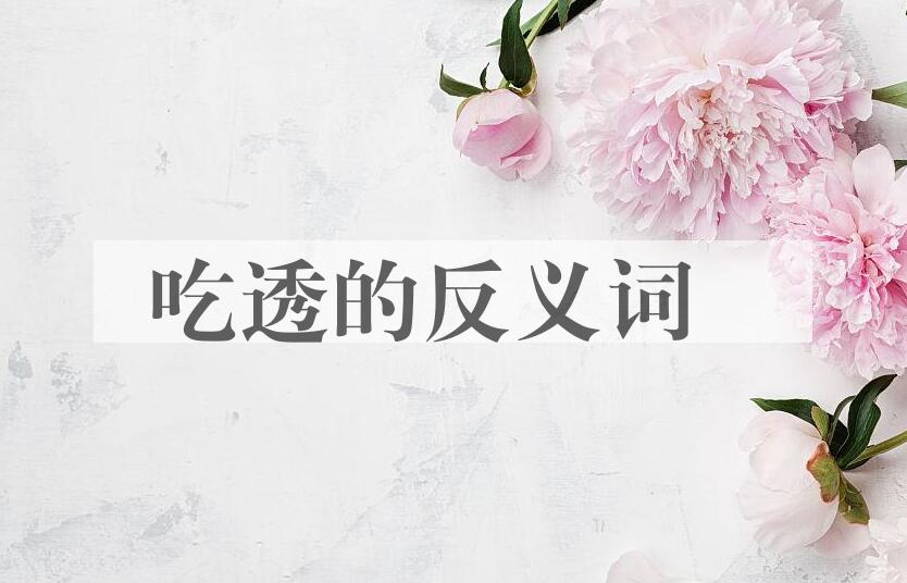 用吃透造句