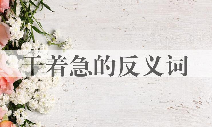 用干着急造句