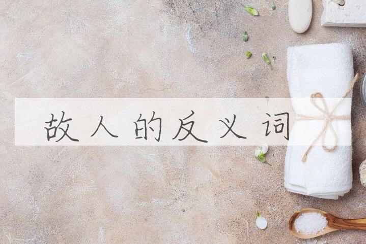 用故人造句