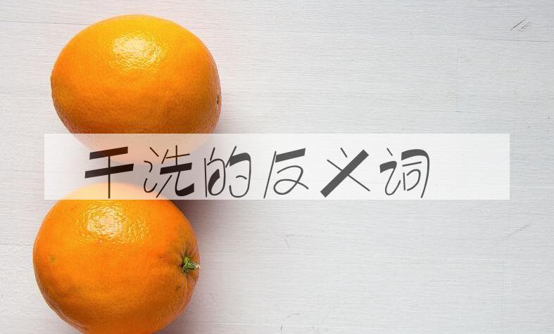用干洗造句