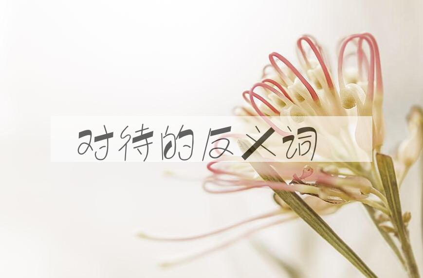 用对待造句