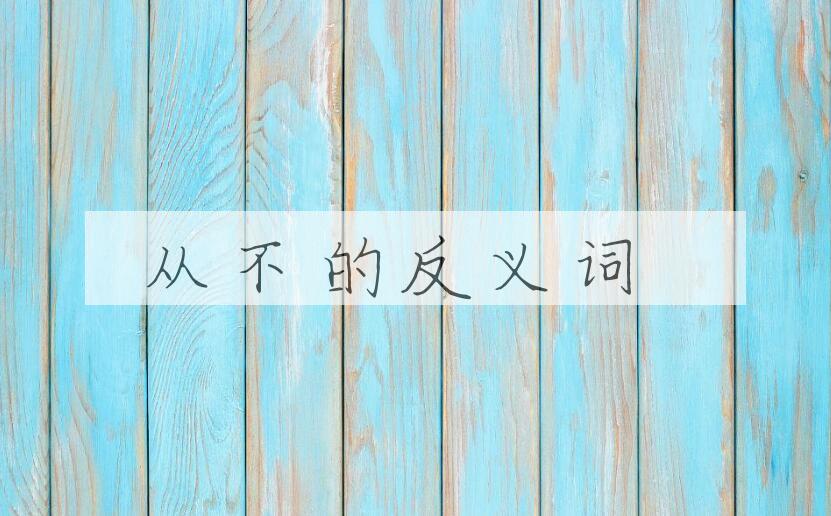 用从不造句