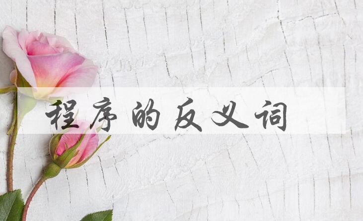 用程序造句