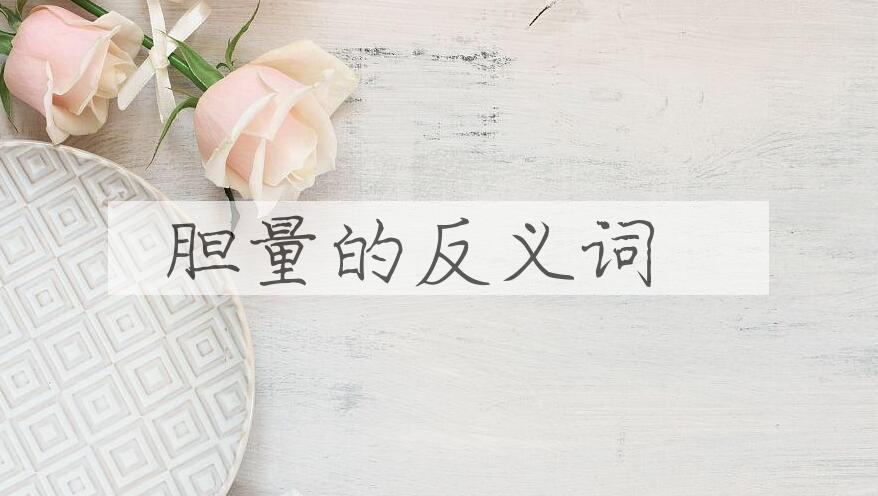 用胆量造句
