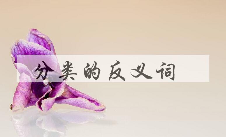 用分类造句