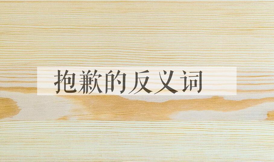 用抱歉造句
