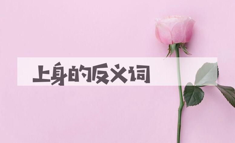 用上身造句