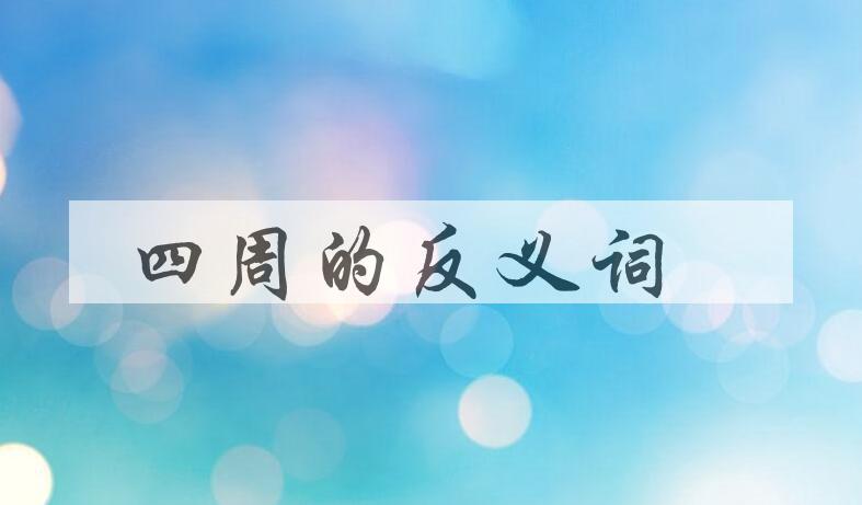 用四周造句