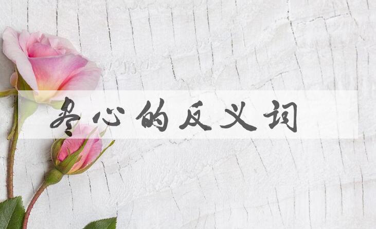 用尽心造句