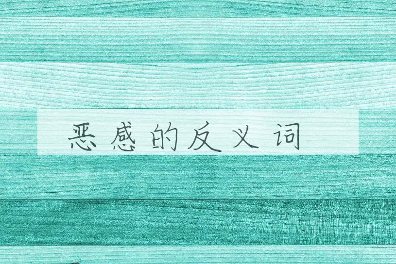 用恶感造句