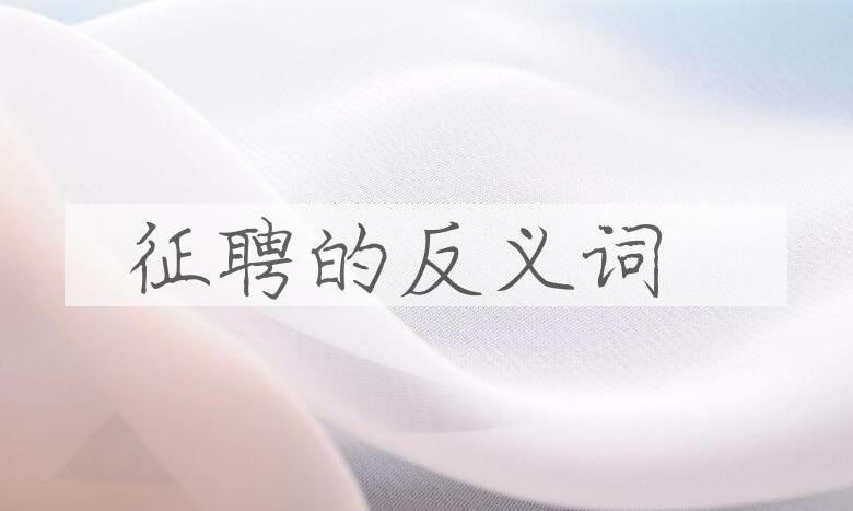 用征聘造句