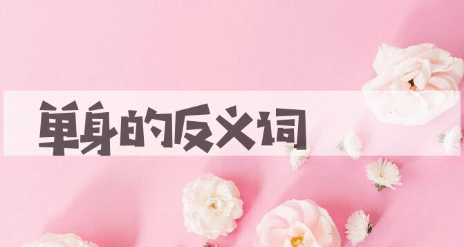 用单身造句