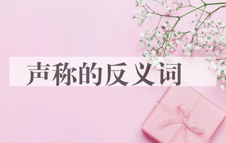 用声称造句