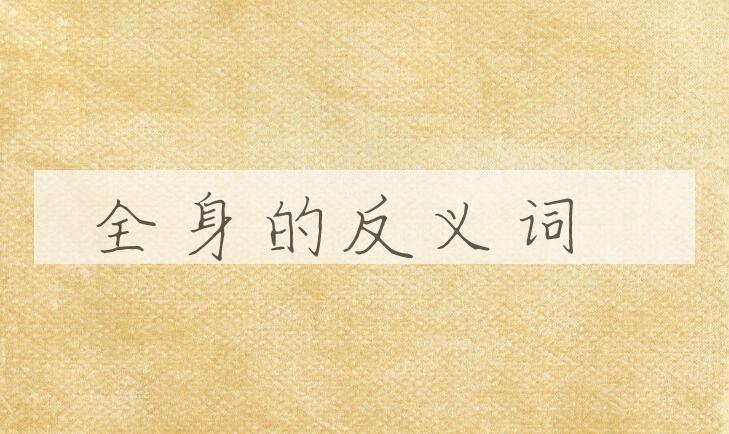 用全身造句