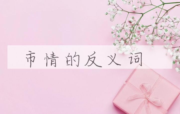 用市情造句