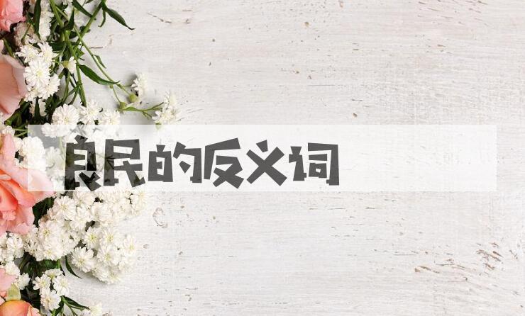 用良民造句