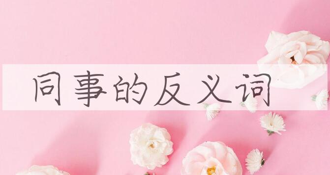 用同事造句