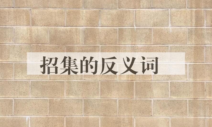 用招集造句