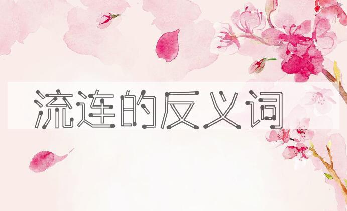 用流连造句
