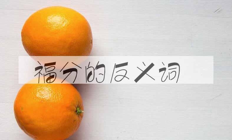 用福分造句