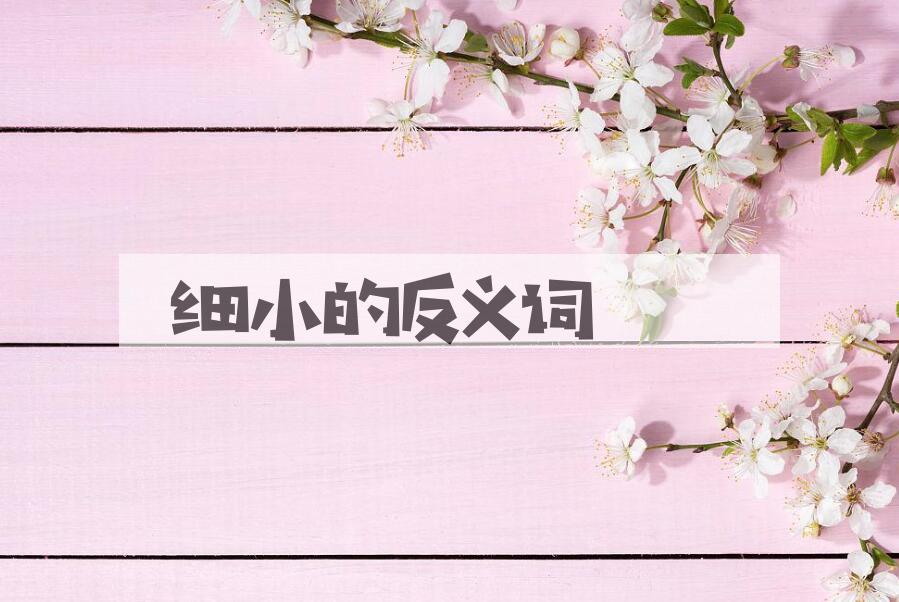 用细小造句