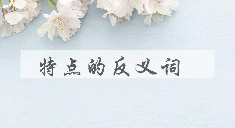 用特点造句