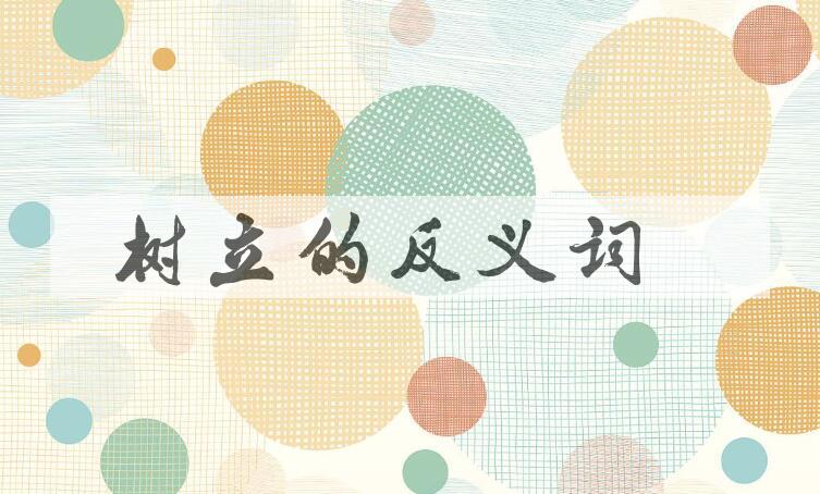 用树立造句