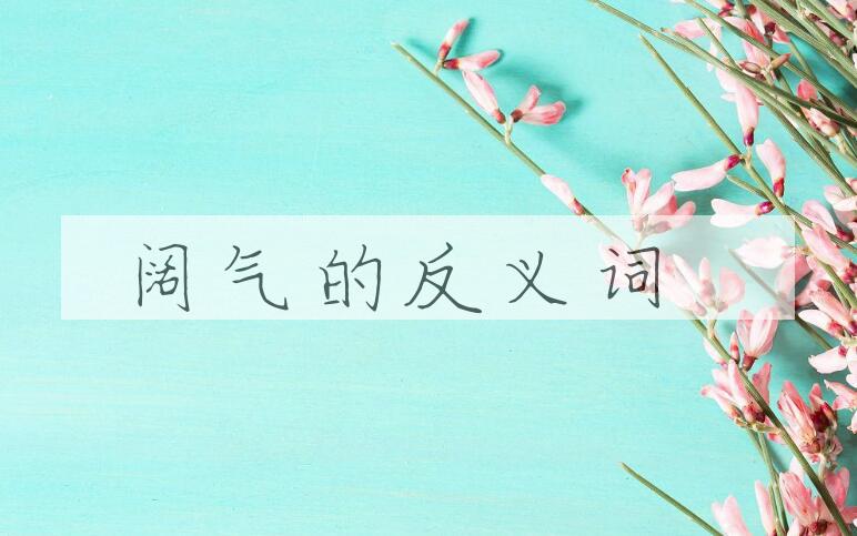 用阔气造句