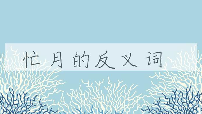 用忙月造句