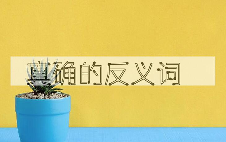 用真确造句