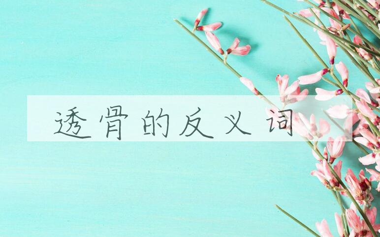 用透骨造句