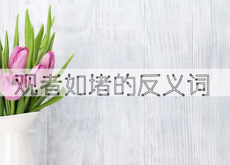 用观者如堵造句