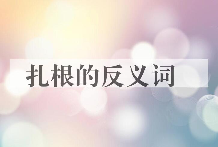 用扎根造句