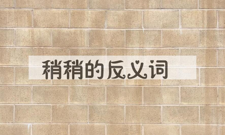 用稍稍造句