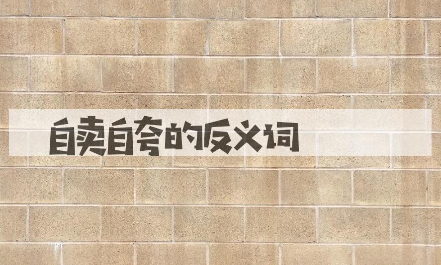 用自卖自夸造句